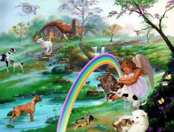 Condolence image of Brigitte mit Axel, Benny und Nelly im Herzen