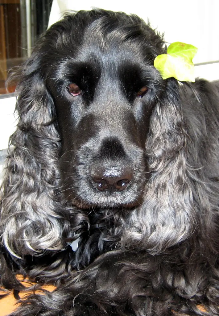 Condolence image of Unbekannt