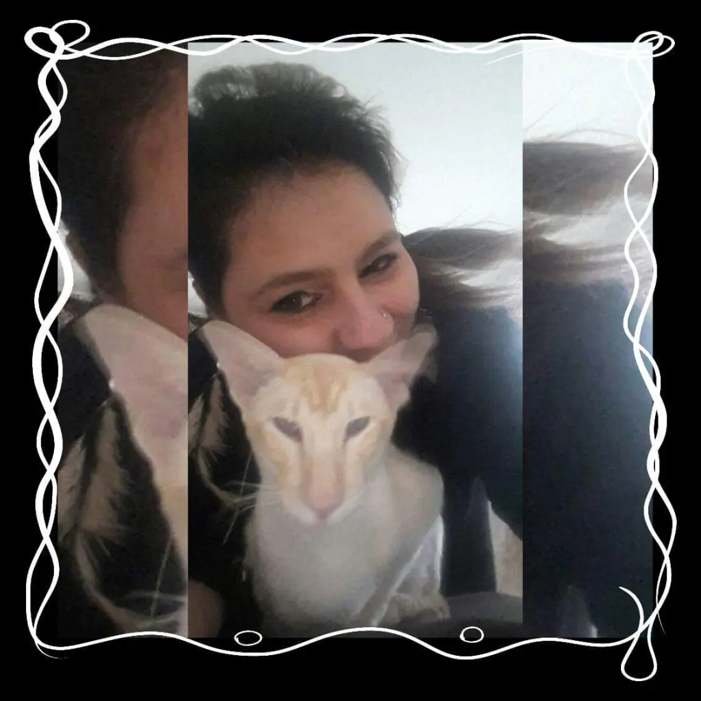 Condolence image of Frauchen 