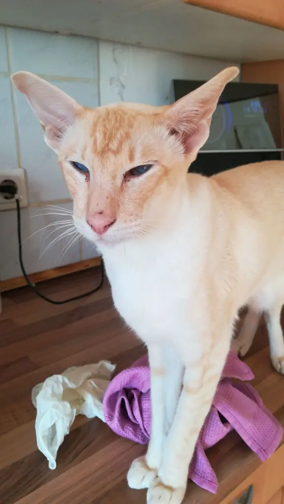 Condolence image of Sabrina