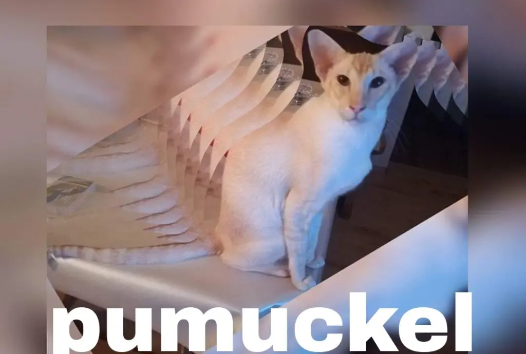 Condolence image of Unbekannt