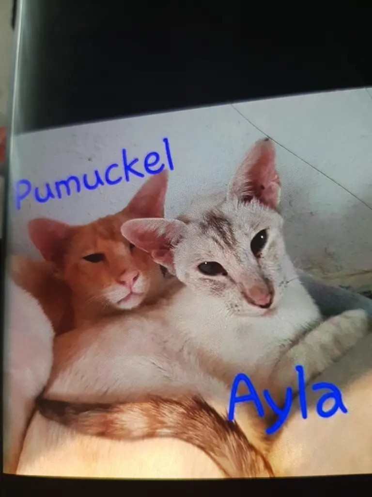 Condolence image of Unbekannt