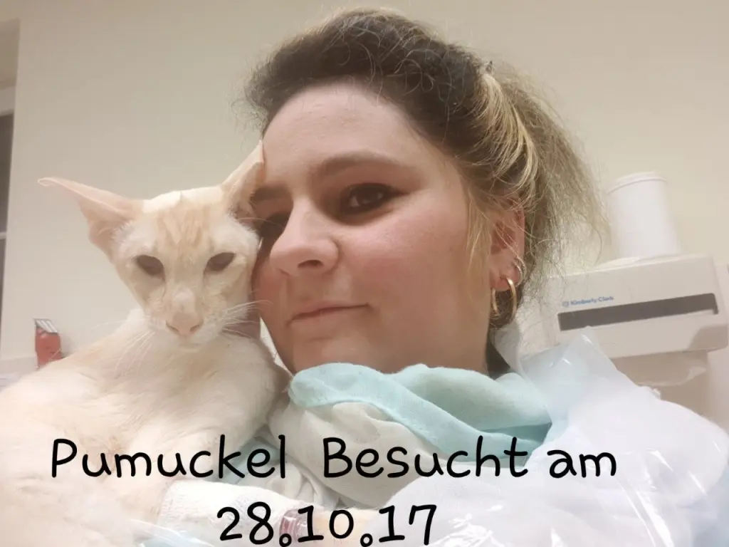 Condolence image of Frauchen