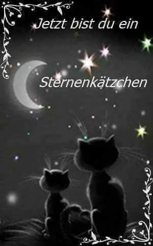 Condolence image of Frauchen