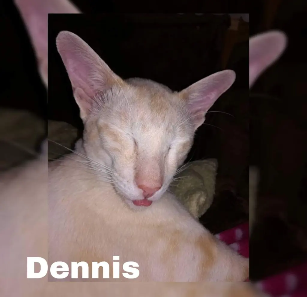 Condolence image of Bianca Frauchen 