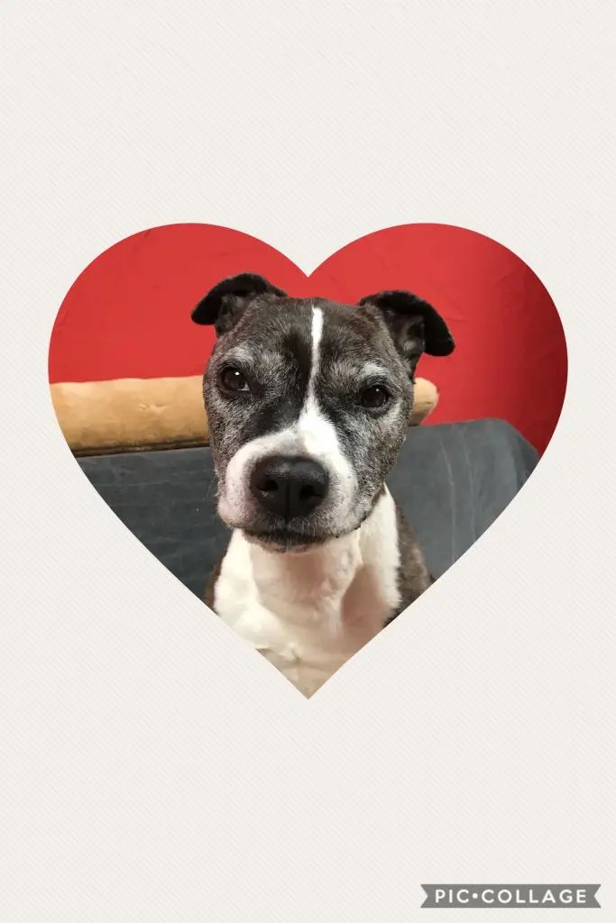 Condolence image of Alexa