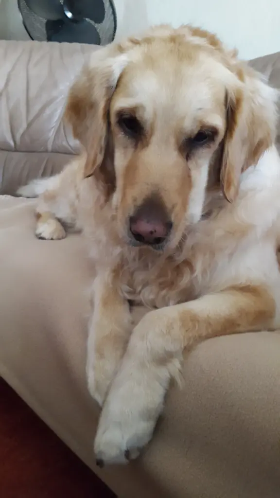 Condolence image of Linda und Jessy