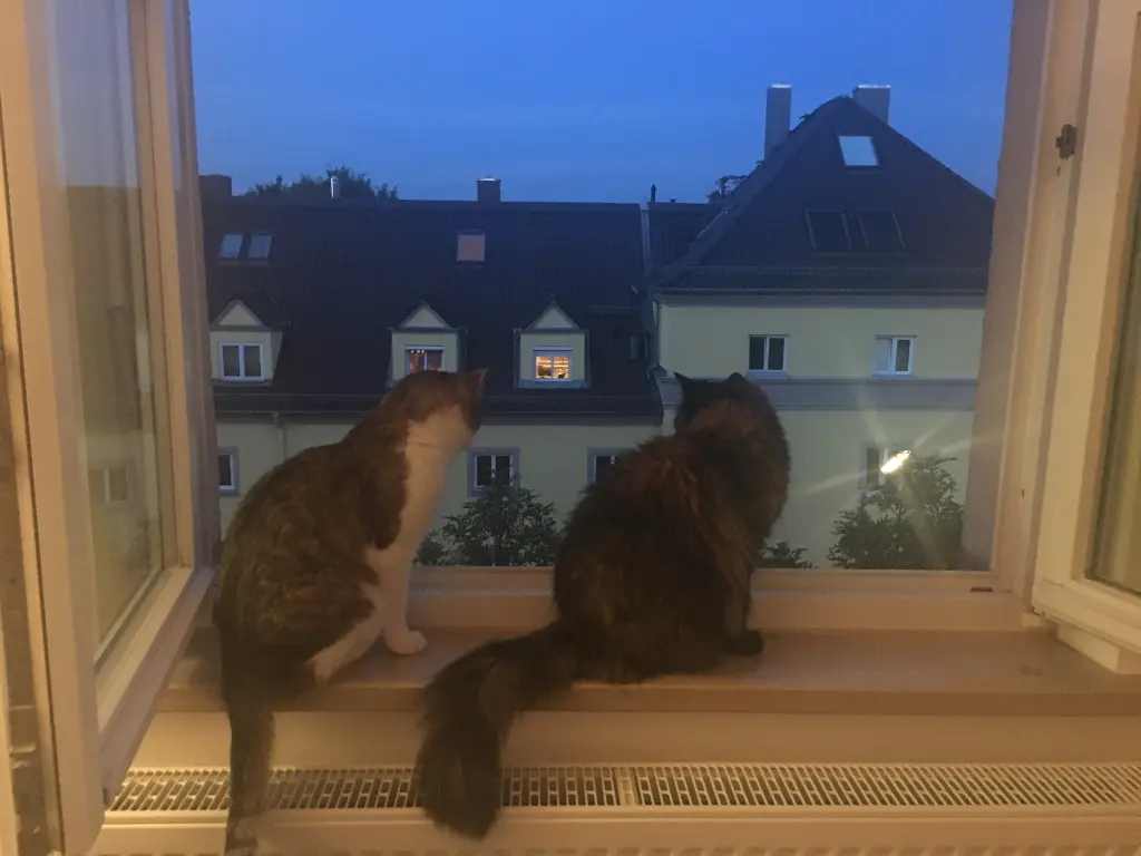 Image from Teufelchen