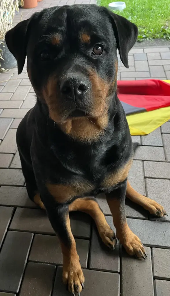 Andachtsbild von Lara Kleine