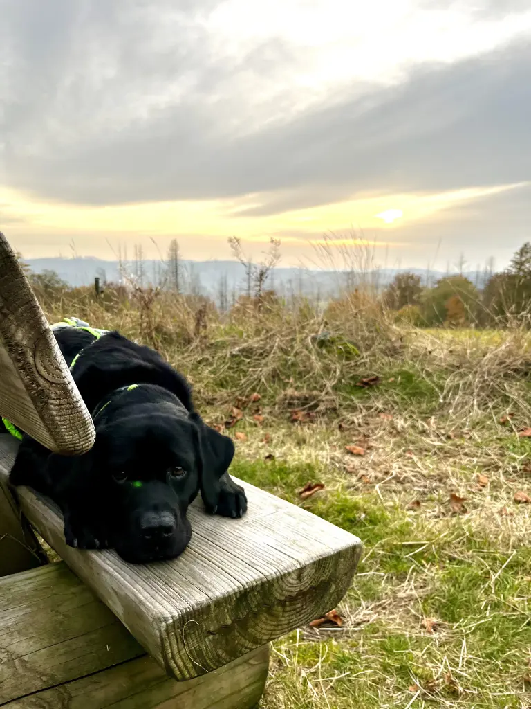 Andachtsbild von Maren