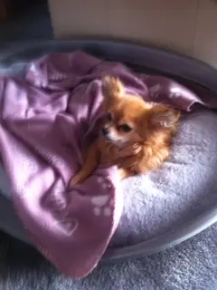 Condolence image of Unbekannt