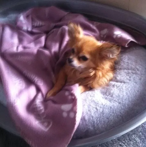 Condolence image of Unbekannt