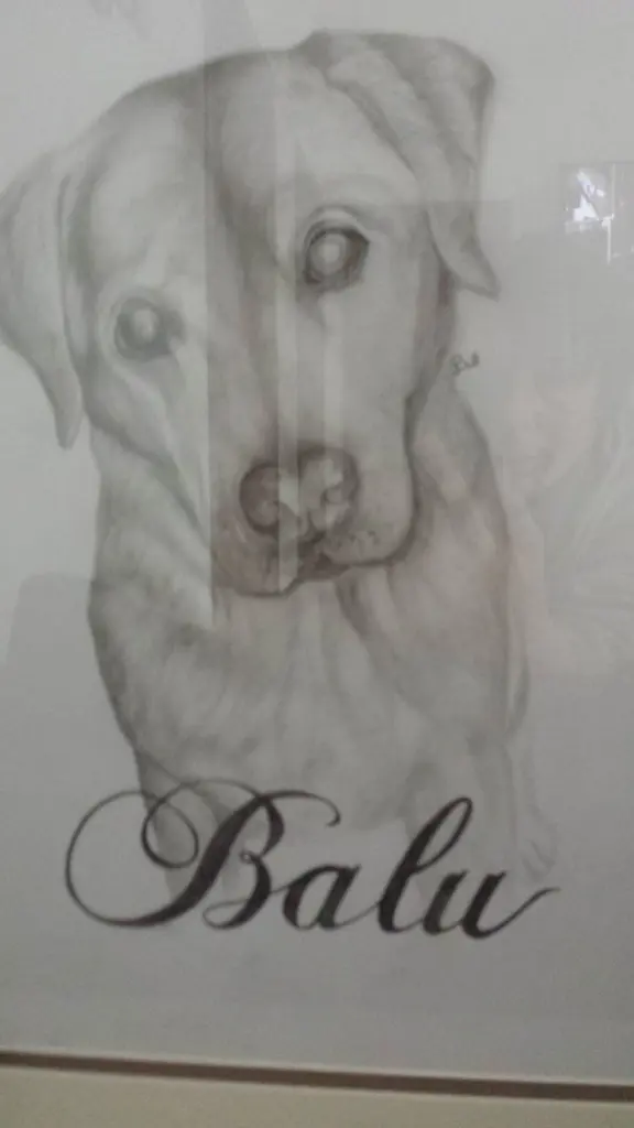 Condolence image of Claudia