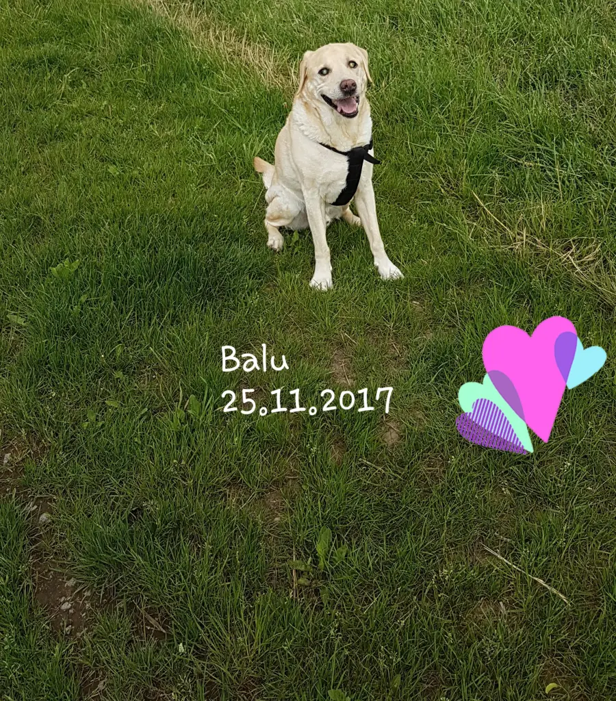 Condolence image of CLAUDIA