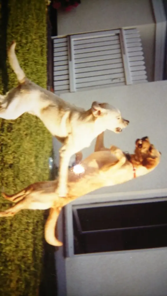 Condolence image of CLAUDIA