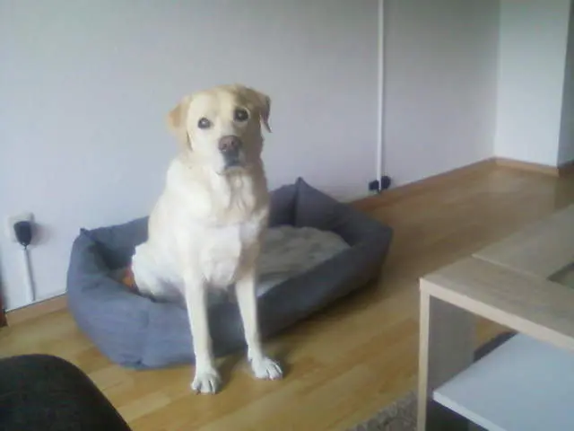 Condolence image of CLAUDIA