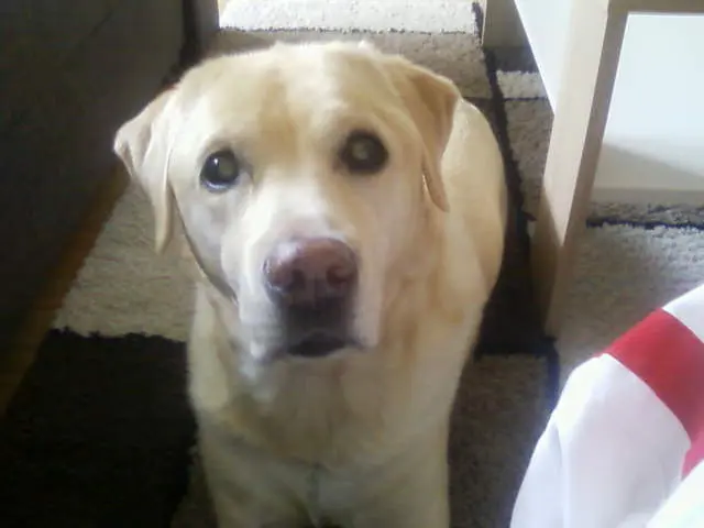 Condolence image of CLAUDIA Fandi