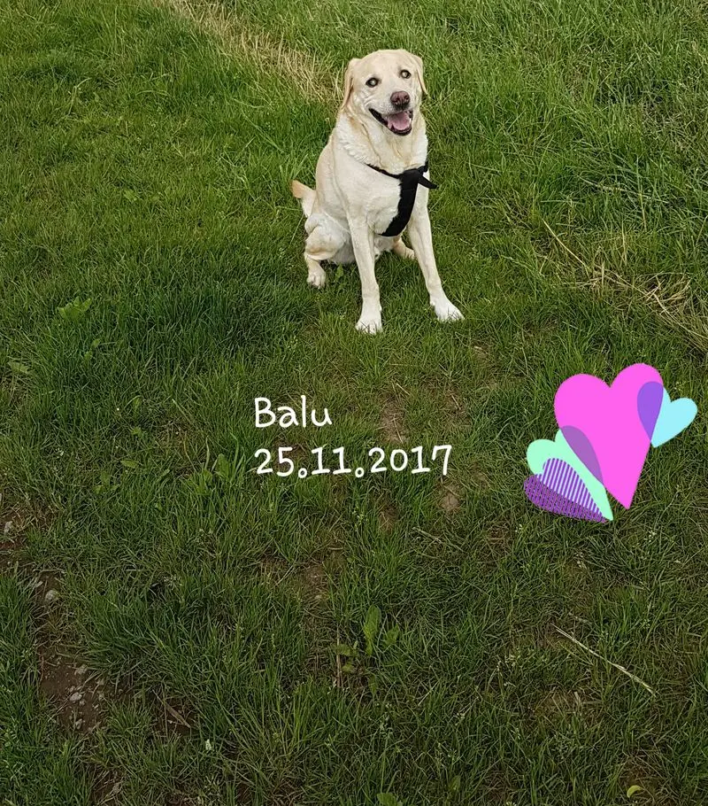 Condolence image of Unbekannt