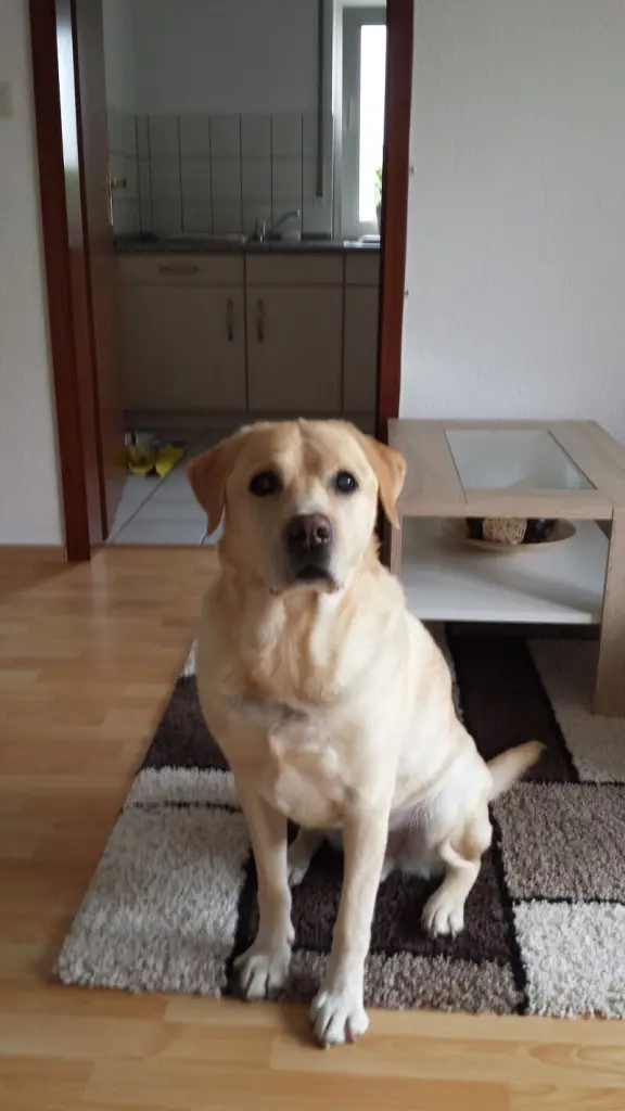 Condolence image of Thomas  Hesse 