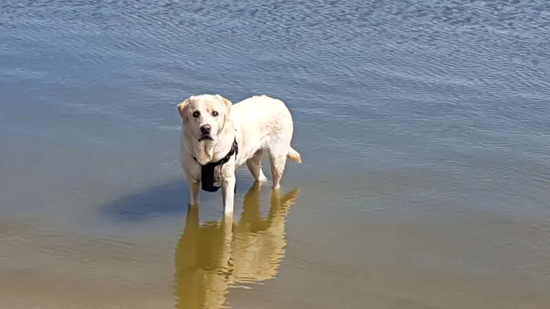 Condolence image of Claudia 