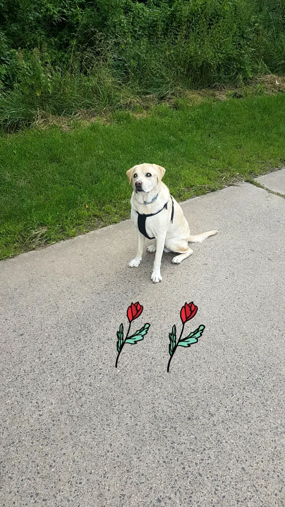 Condolence image of Thomas