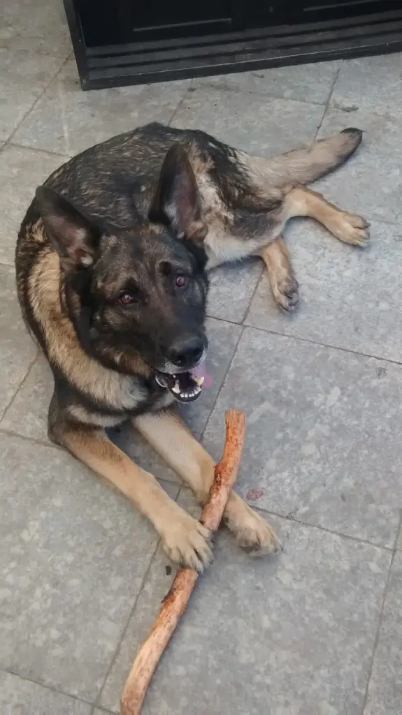 Condolence image of Elke