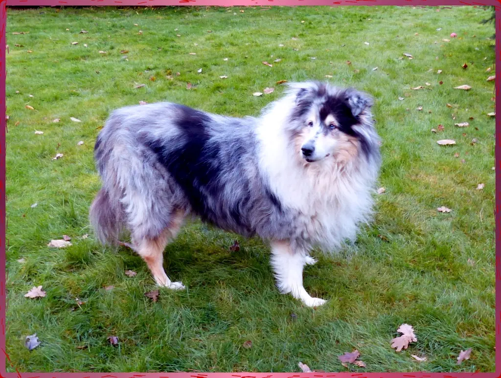Bild von Vicky