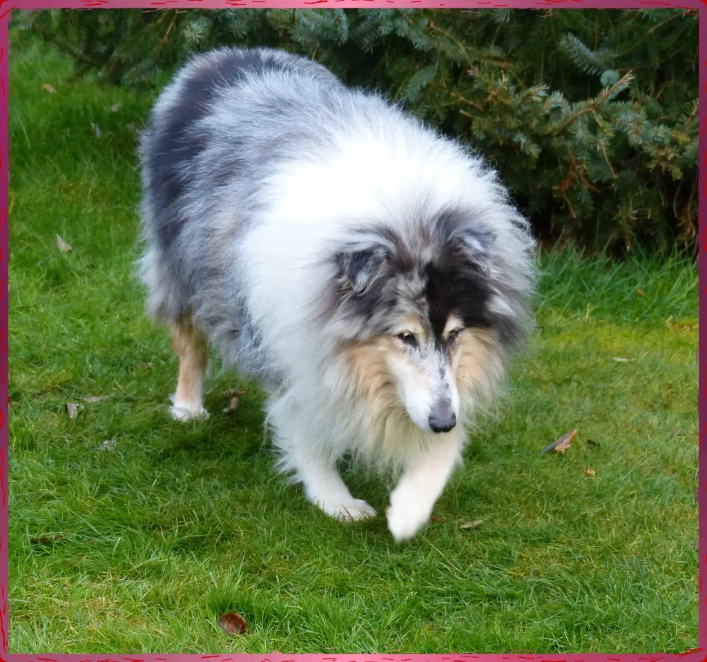 Bild von Vicky
