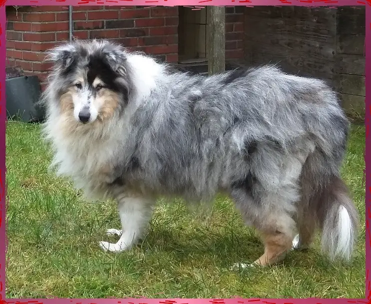 Bild von Vicky