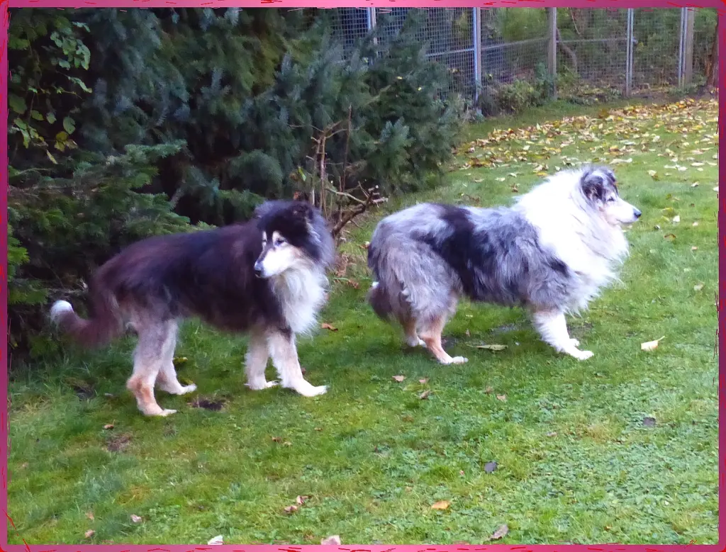 Bild von Vicky