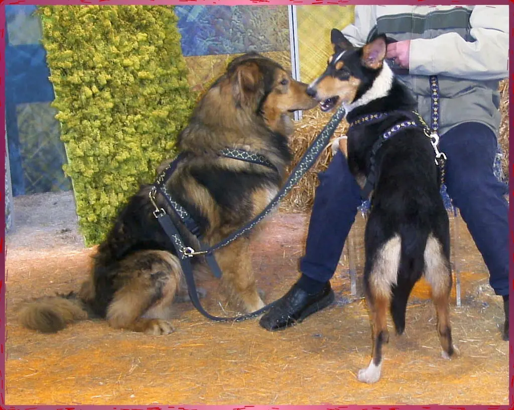 Andachtsbild von Margit und Klaus Koopmann