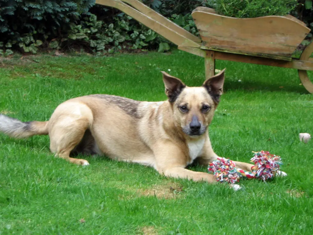 Andachtsbild von Wilfried und Annette