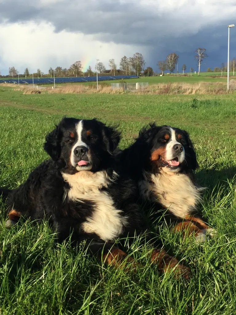 Condolence image of Rocco mit Anton