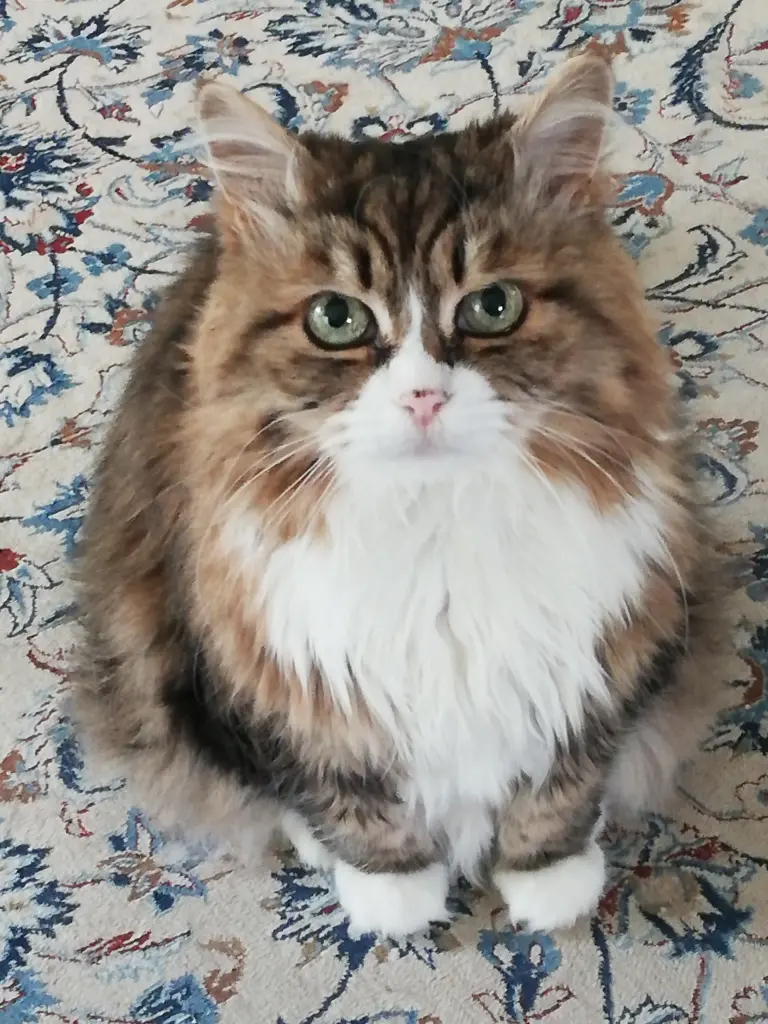 Bild von Helena