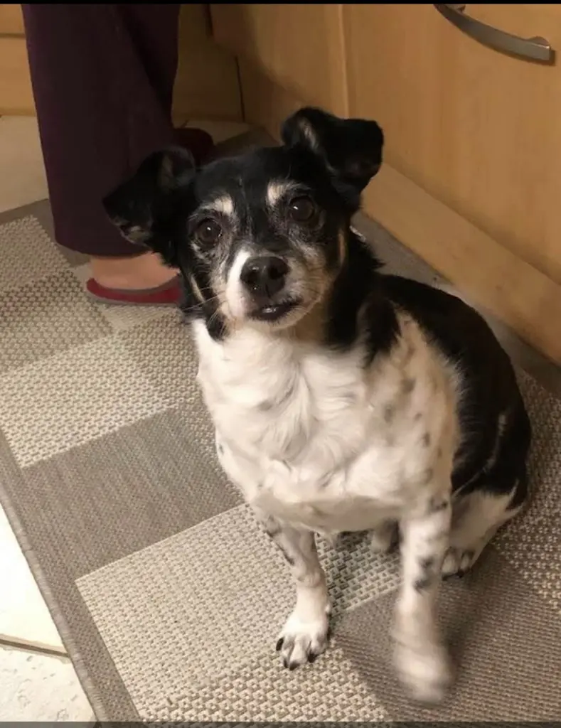 Andachtsbild von Petra