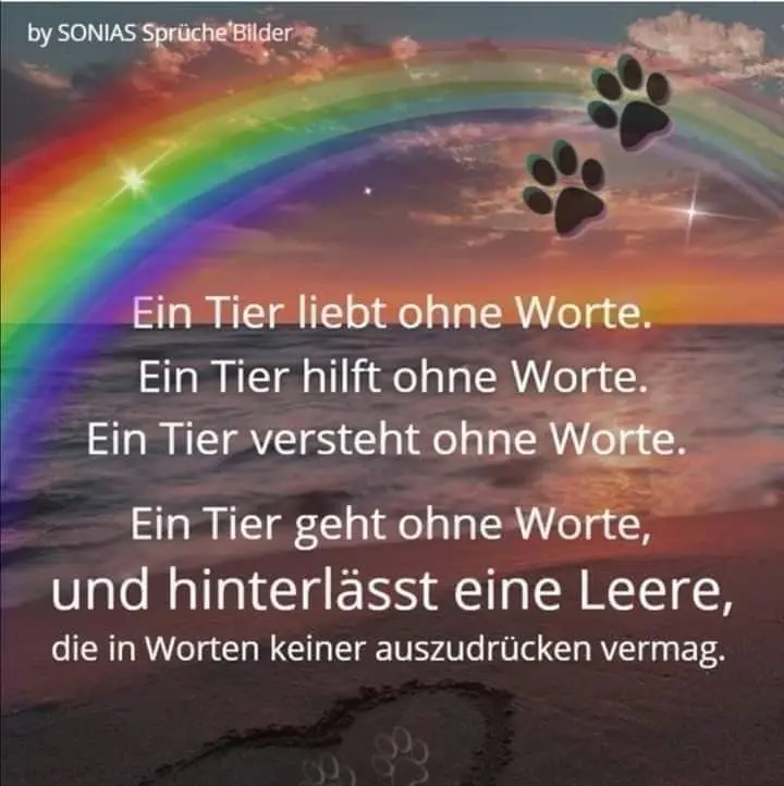 Andachtsbild von Irene mit Seelenhund JIMMY ganz tief im Herzen ❤️