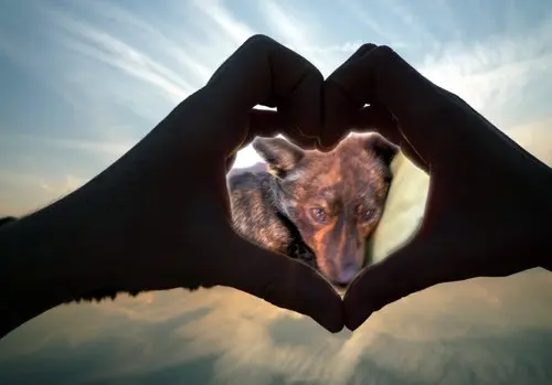 Condolence image of Unbekannt