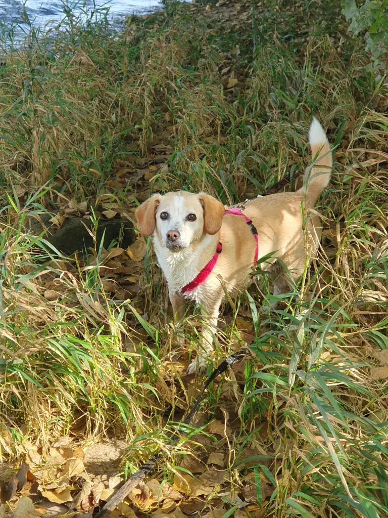 Bild von Aimy