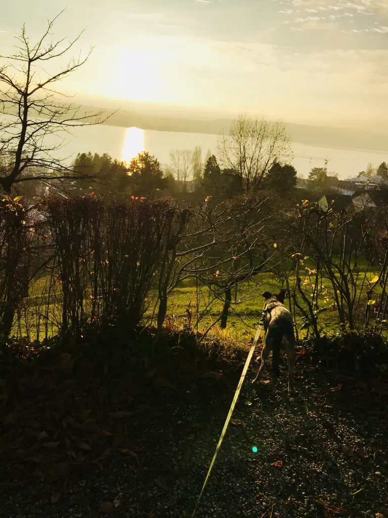 Condolence image of Pia Taugs