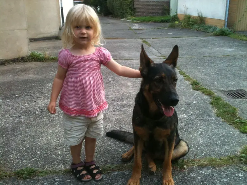 Condolence image of Bekki