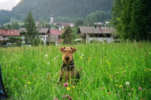 Image from Anja