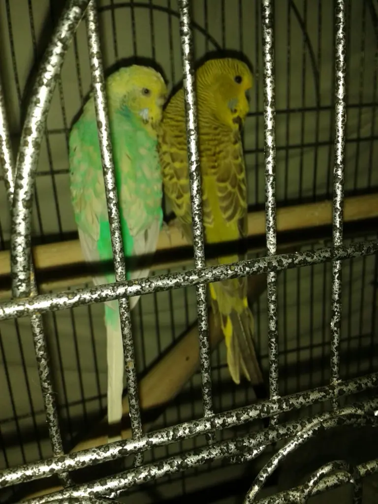 Condolence image of Jutta Kühn