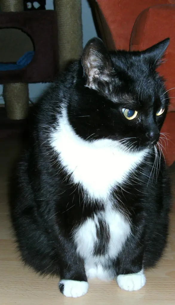 Condolence image of Jeanne - Marie