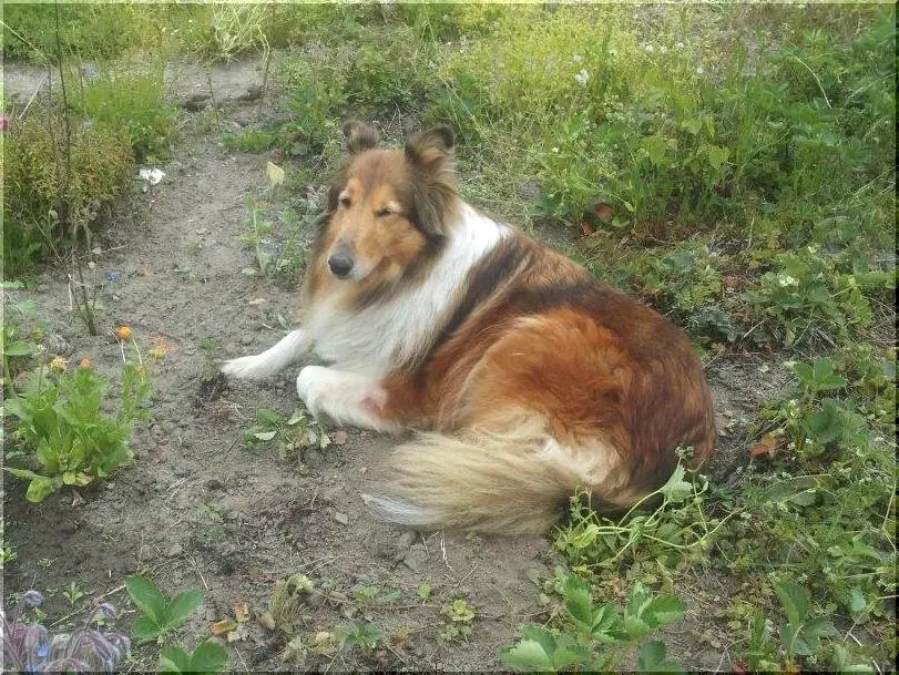 Bild von Daphne