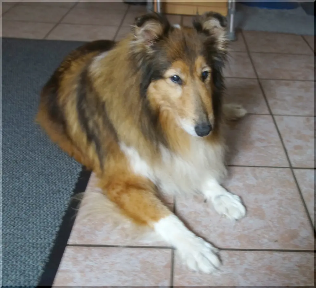 Bild von Daphne