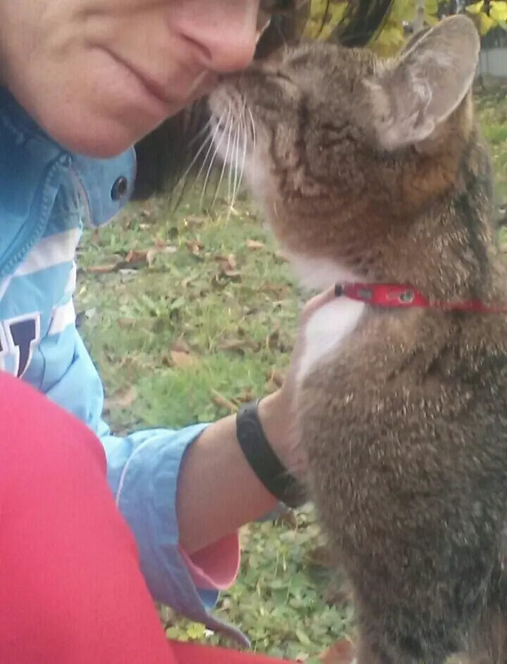 Image from Minou