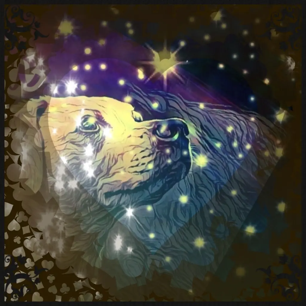 Condolence image of Karin 