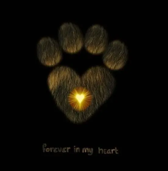 Condolence image of Karin