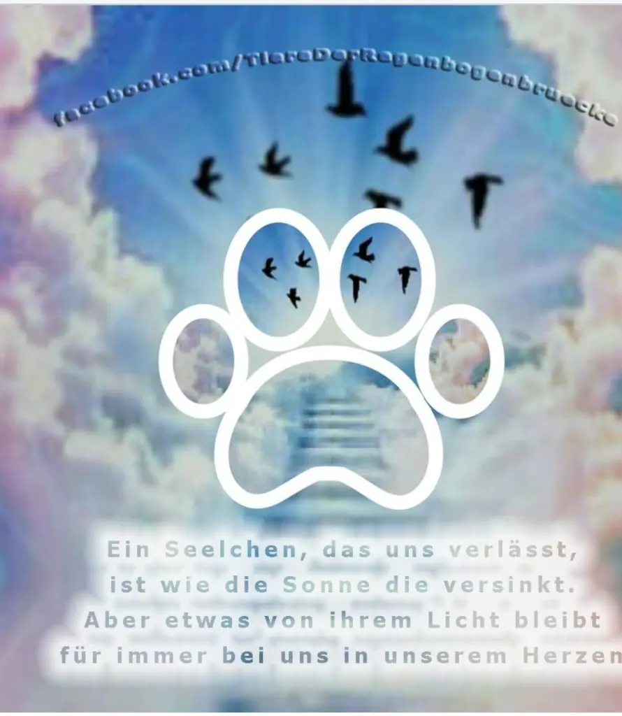 Condolence image of Karin