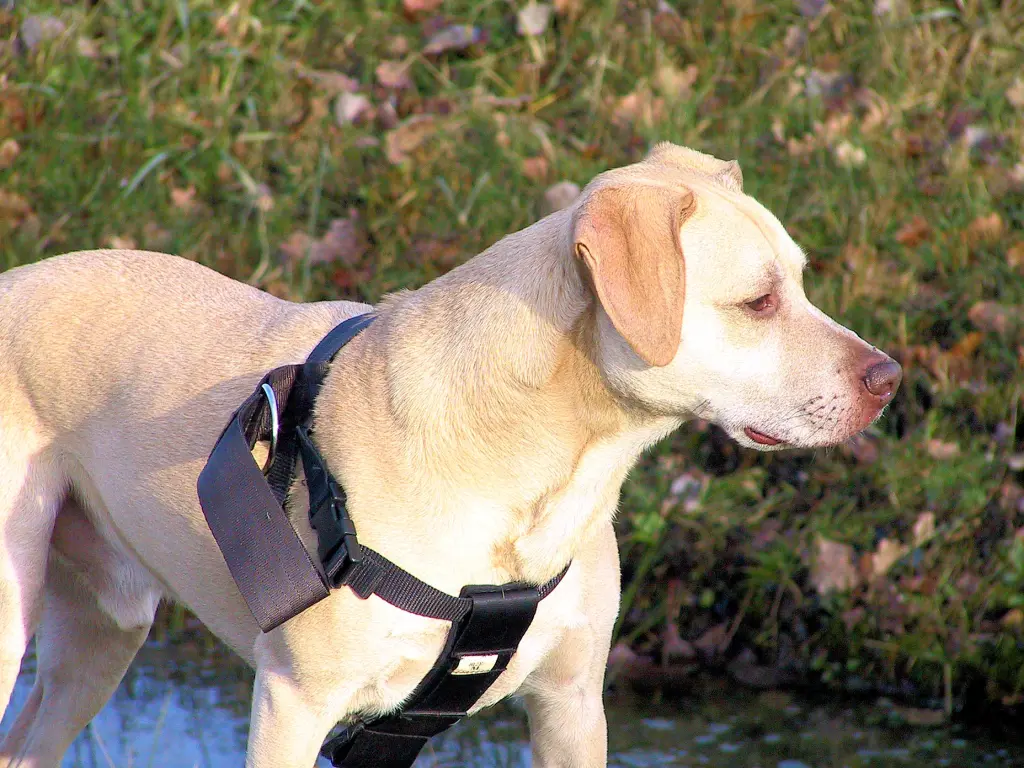 Image from Zeus